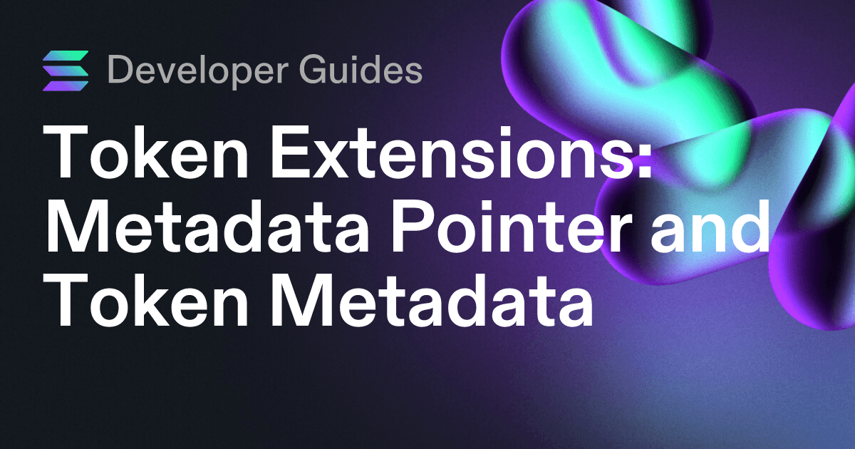 How to use the Metadata Pointer extension